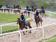 BP140425-29 - Squire Danagher (red hat)